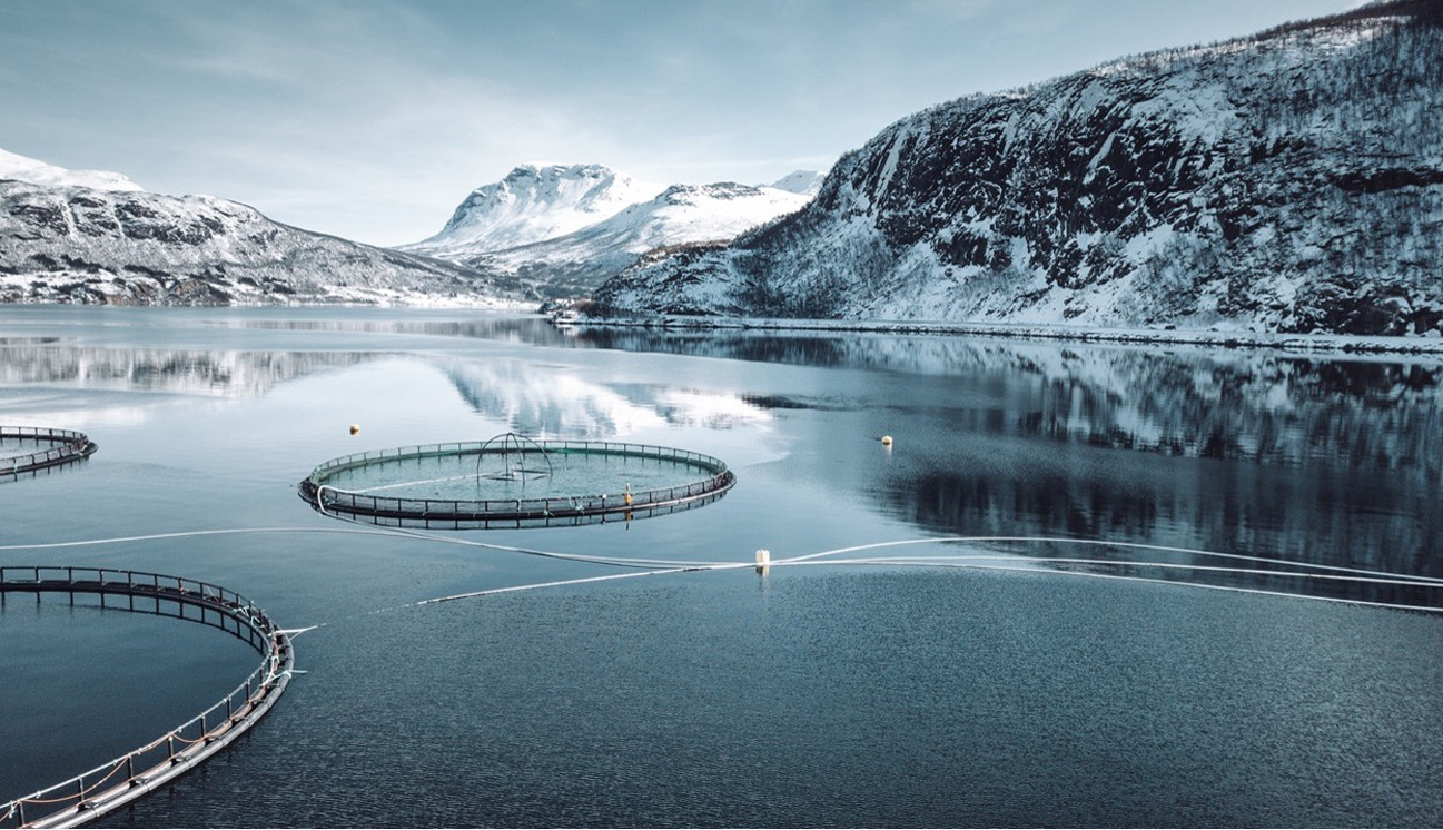 Why Framo Aquaculture Solutions? 